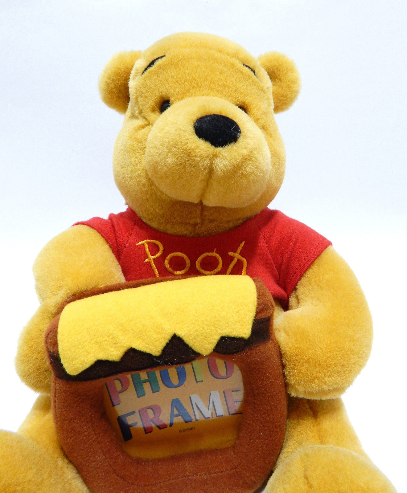Winnie the Pooh Picture Photo Frame Stuffed Animal Plush Walt Disney