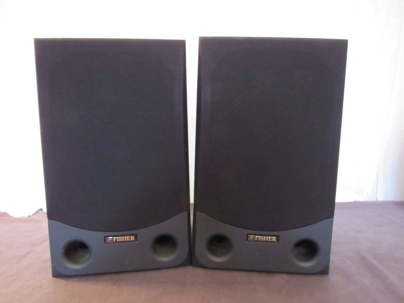 fisher 12 inch speakers