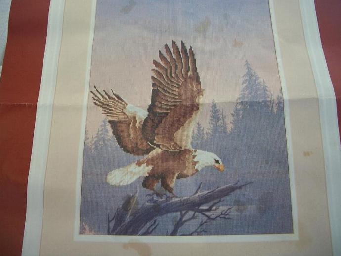 Primary image for Eagle Stamped Cross Stitch Kit