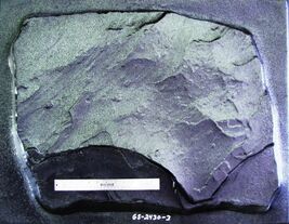 Giant 25"x30"x2" Fieldstone Stepping Stone Mold Makes Concrete Wall Rocks #25302 image 5