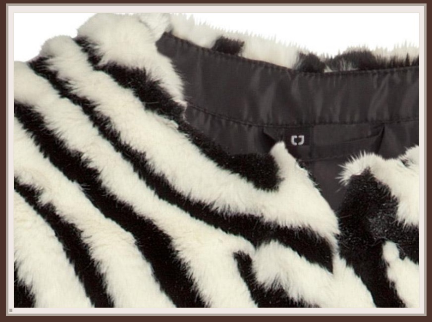 zebra shirt jacket