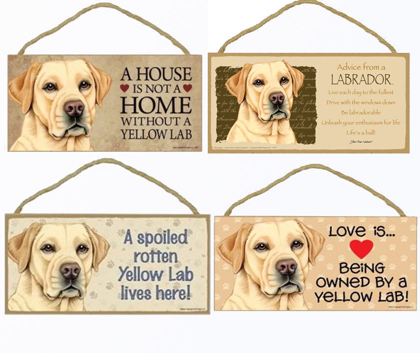 SPOILED ROTTEN DOG LIVES HERE pet dog animal dogs home wall wood decor sign