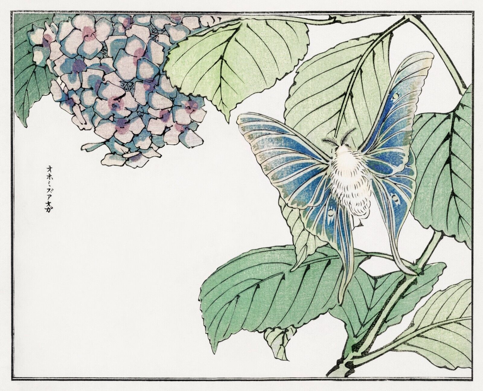 10078.Decor Poster.Room home wall.1910 Japan print.Morimoto Toko art.Floral