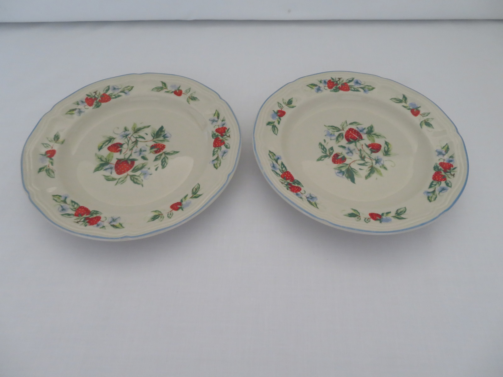 Tabletops Unlimited 2 Salad Plates Susana Pattern Ceramic