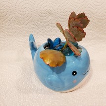 Whale Planter with Live Succulent and Glass Gems, Animal Succulent Planter image 8