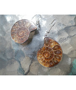 Ammonite Fossil Earrings, 925 Silver, Handmade - $24.00
