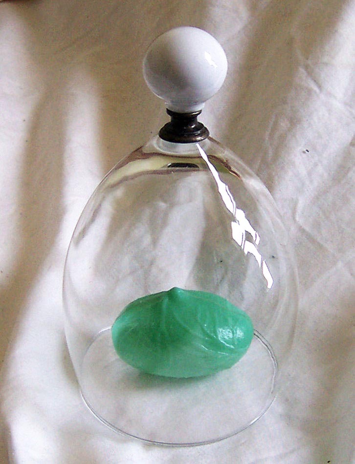 Interesting Decorative Bell Jar Belljar Glassware