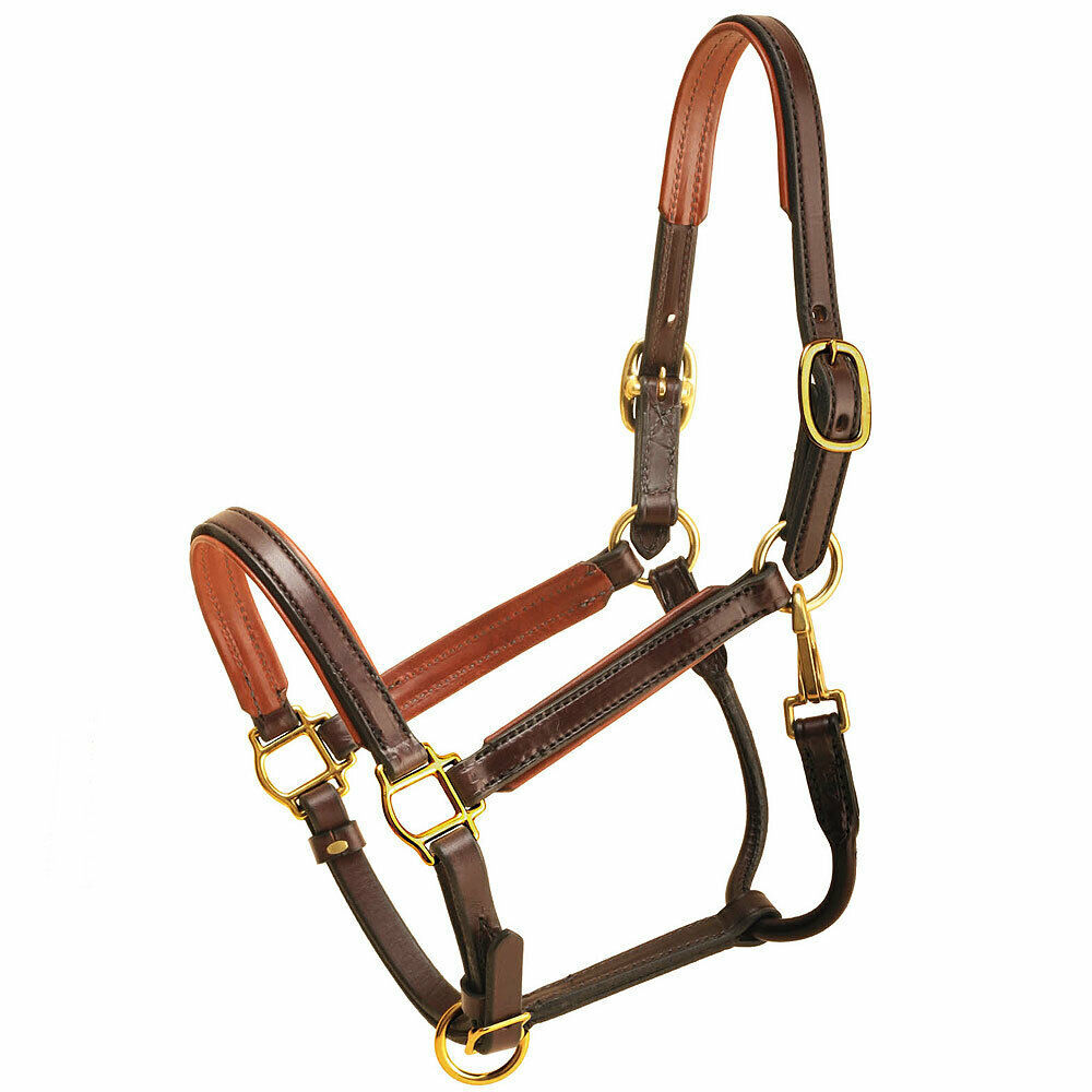 3/4" TORY HORSE LEATHER PADDED HALTER ROLLED SNAP THROAT FIXED HAVANA