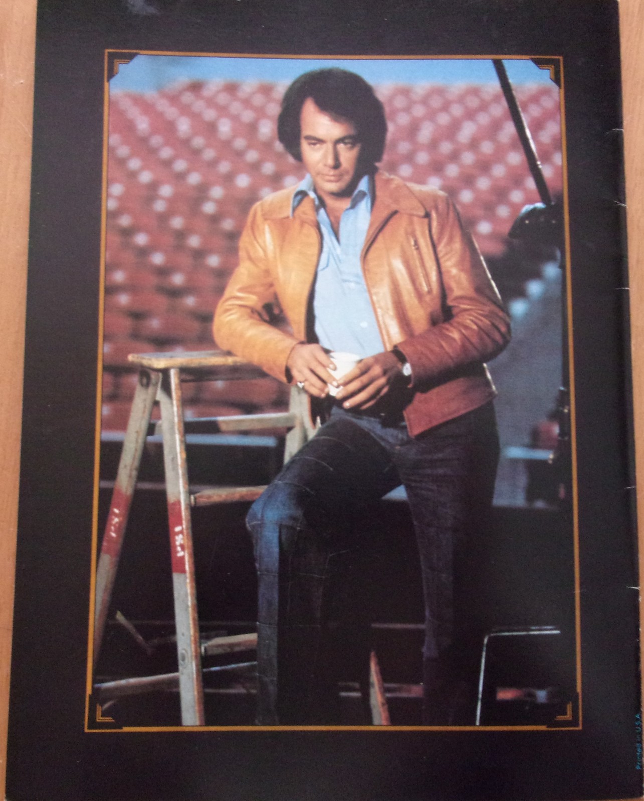 Neil Diamond Concert Souvenir Program 1980s - Programs