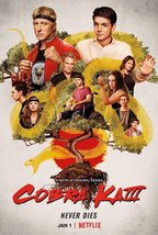 Cobra Kai Poster Season 4 TV Series Art Print Size 14x21&quot; 24x36&quot; 27x40&quot; ... - $10.90+