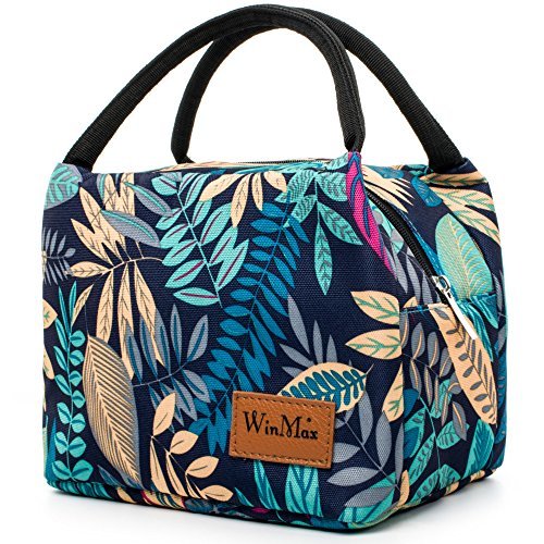 cute womens lunch bag