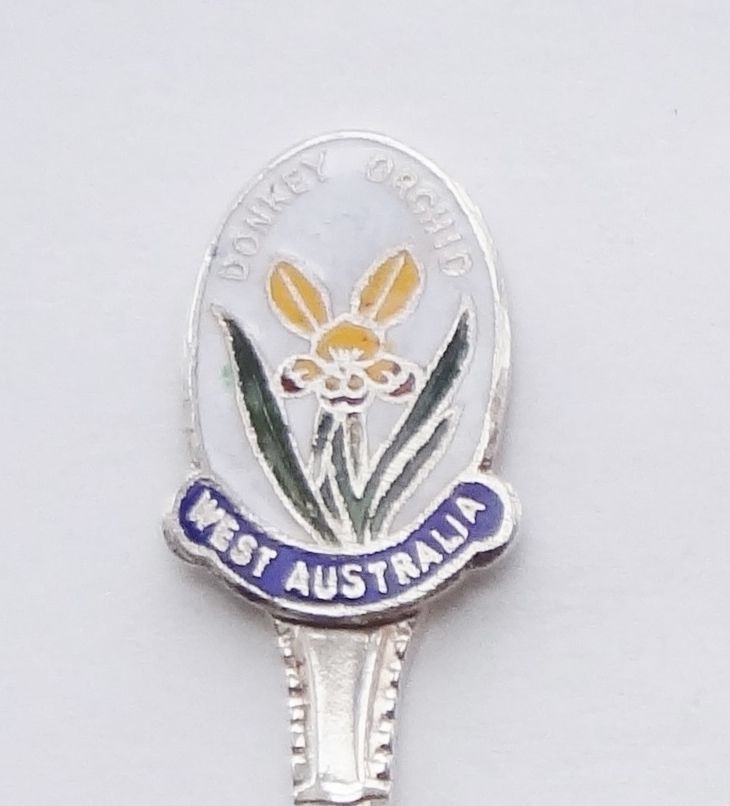 Collector Souvenir Spoon Australia Western Australia Donkey Orchid ...