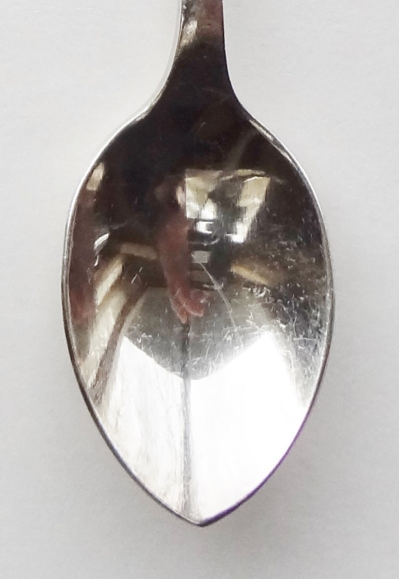 Collector Souvenir Spoon Australia Western Kangaroo Paw Flower Plant