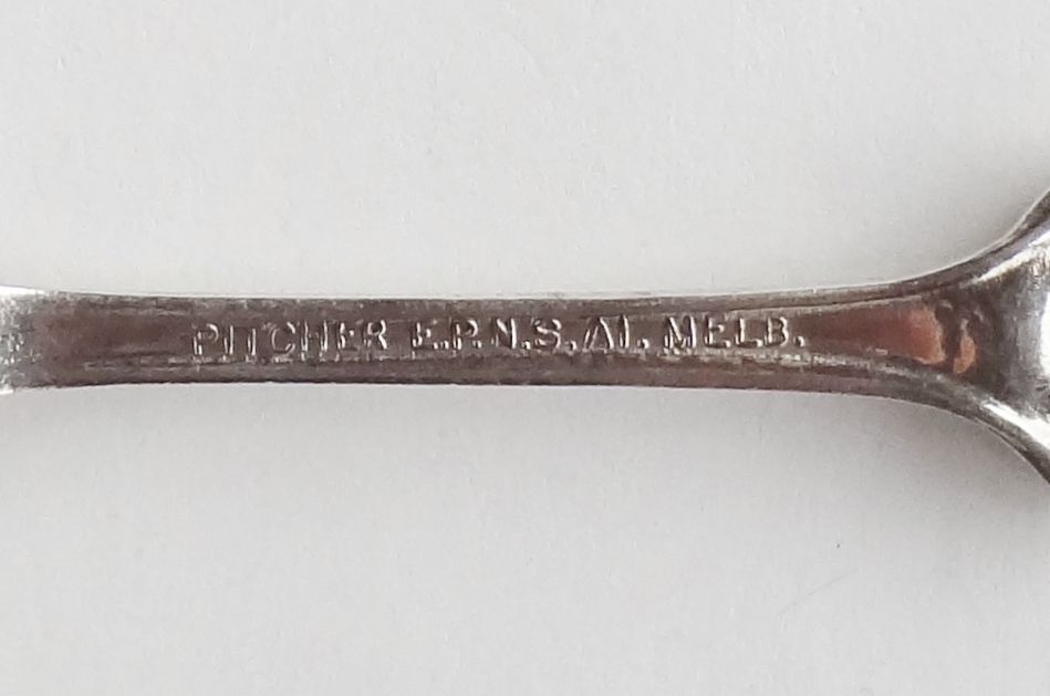 Collector Souvenir Spoon Australia Western Kangaroo Paw Flower Plant