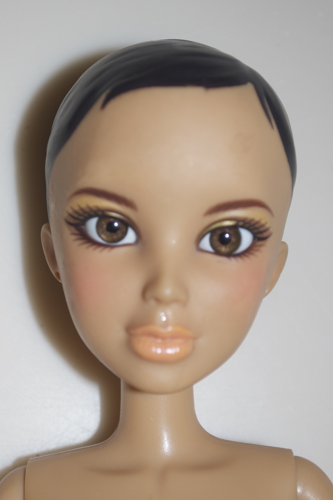 2009 spin master doll