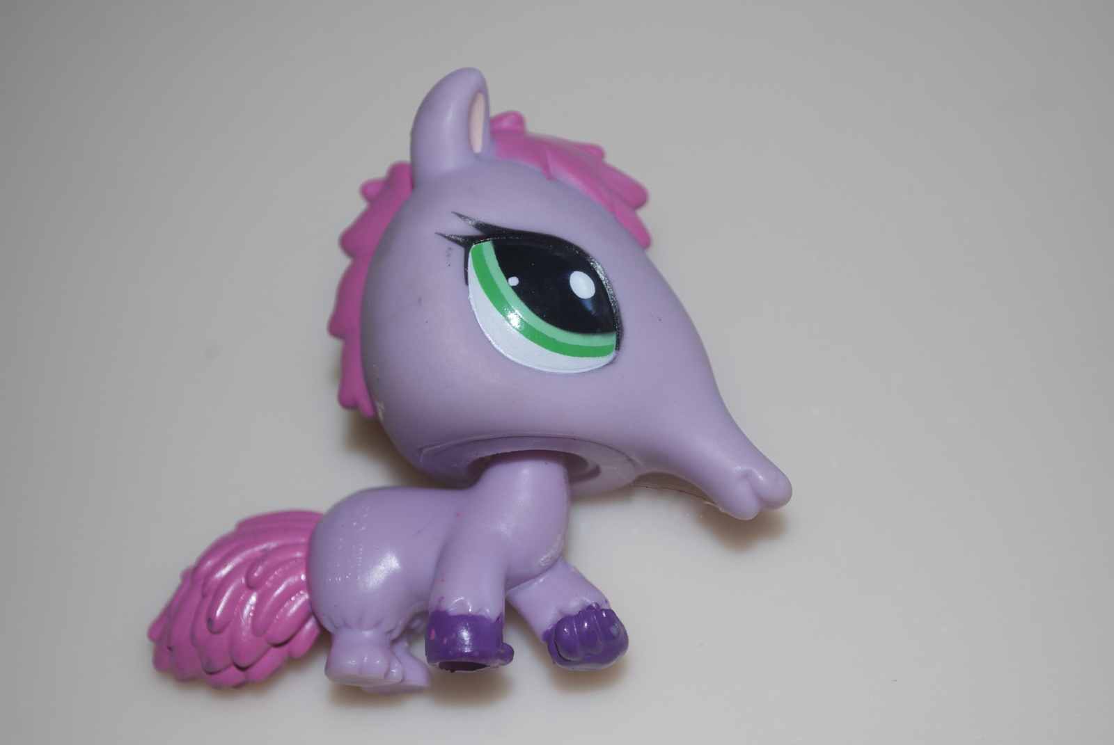 Aardvark Pet Store Winnipeg at Johnnie Farrer blog