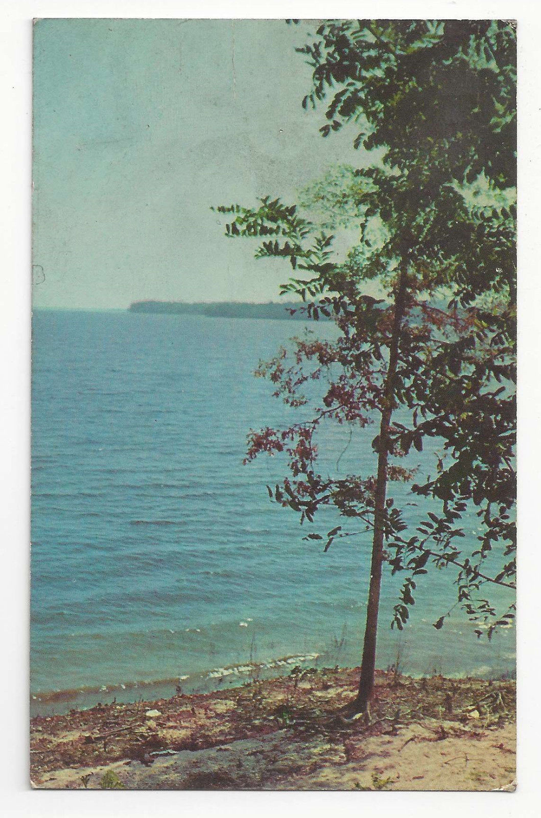 MS Grenada Lake Mississippi Fishing Water Sports Vintage ...