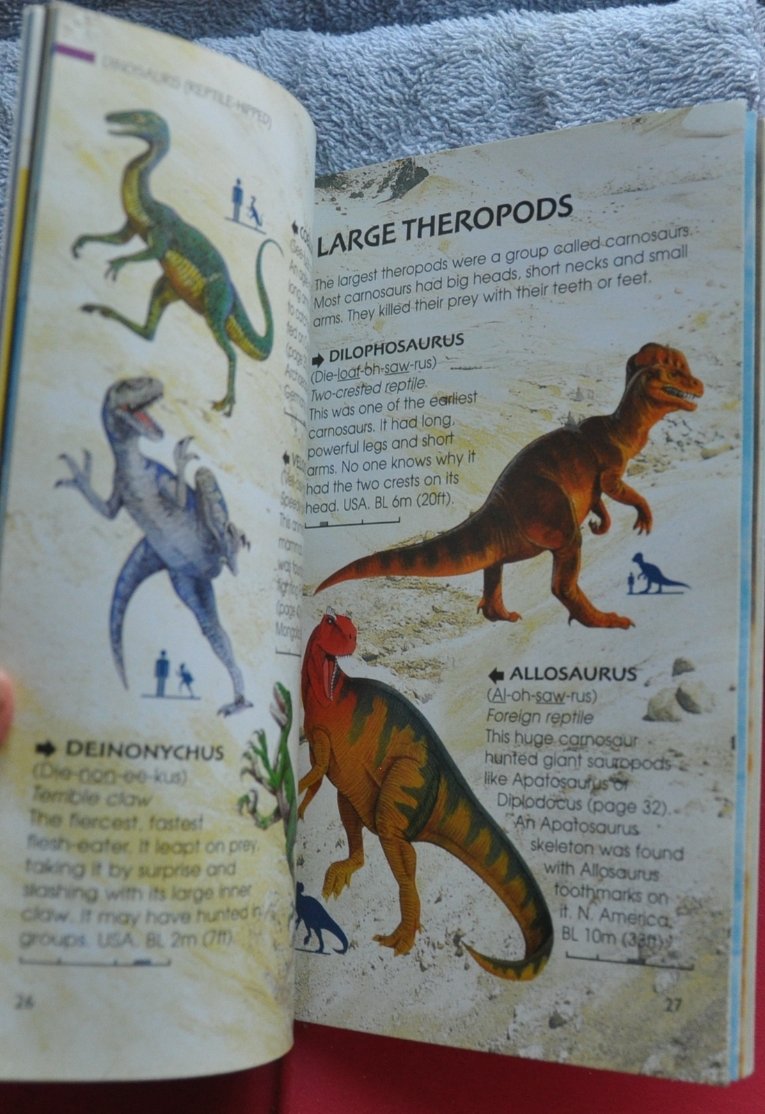 usborne dinosaur activity book