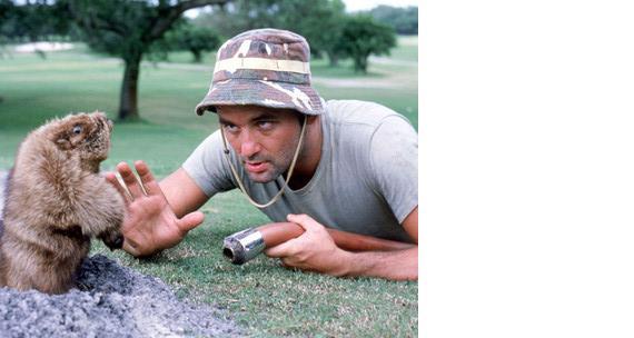 Caddyshack MM Gopher Bill Murray Vintage 8X10 Color Movie Memorabilia ...