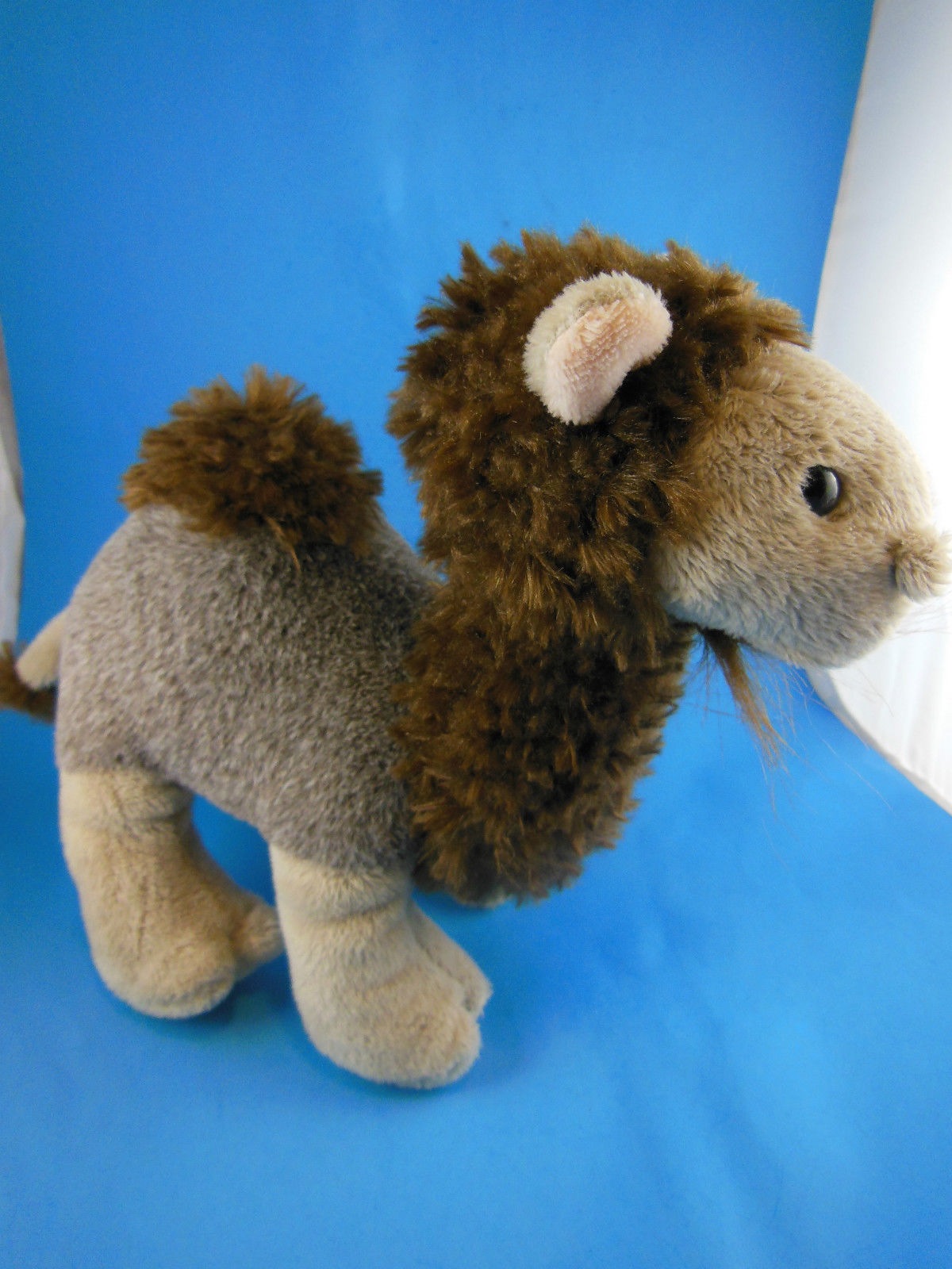 webkinz curly camel