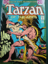 Tarzan #211 FN+ 7.5 DC Bronze Age Vintage  1972 - $19.79