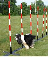 Dog Agility Weave Poles with Adjustable Spacing (6 Poles) - $195.99