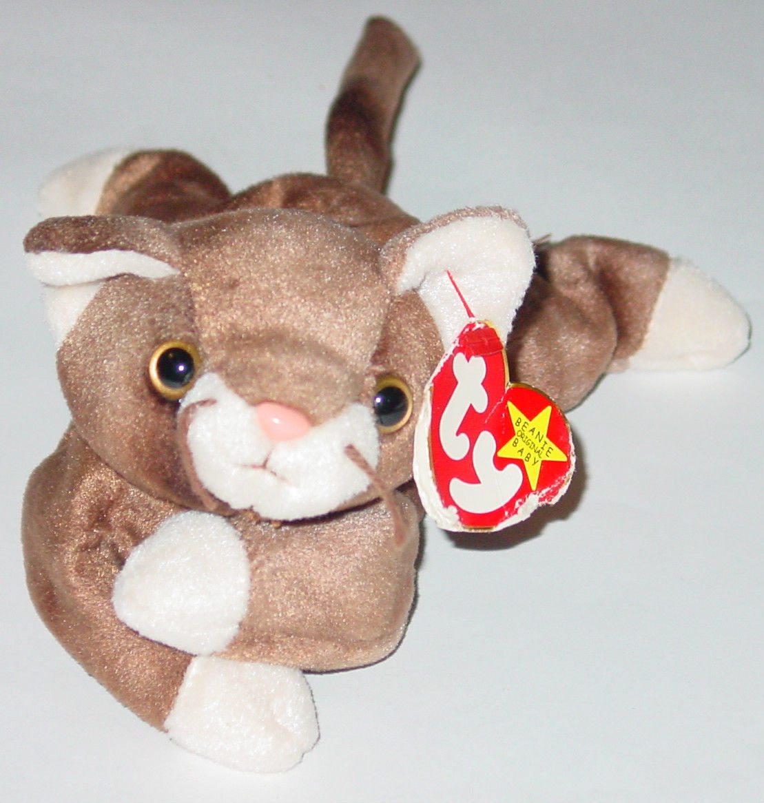 pounce beanie baby