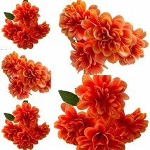 Marigold Bush X5 Day of the Dead Dia De Los Muertos  Ofrenda Orange Flow... - $29.69