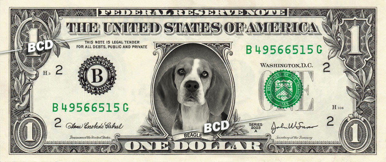10 Jack Russell Terrier Dog Novelty Currency Bills # 325 