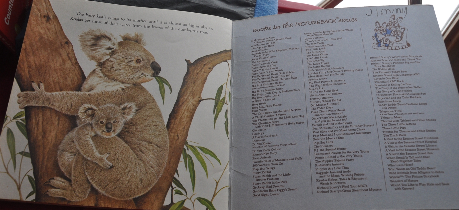 Great Picture Book of All Kinds of Baby Animals Animal Babies Harry