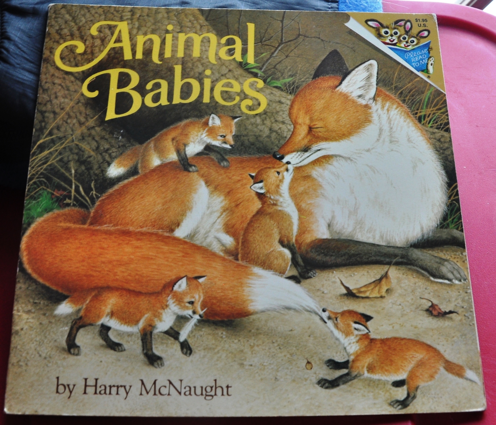 safari animal baby books