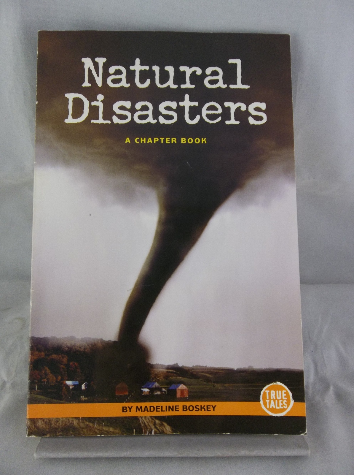 natural-disasters-madeline-boskey-scholastic-children-s-chapter-book