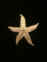 Vintage 80s gold tone etched starfish brooch