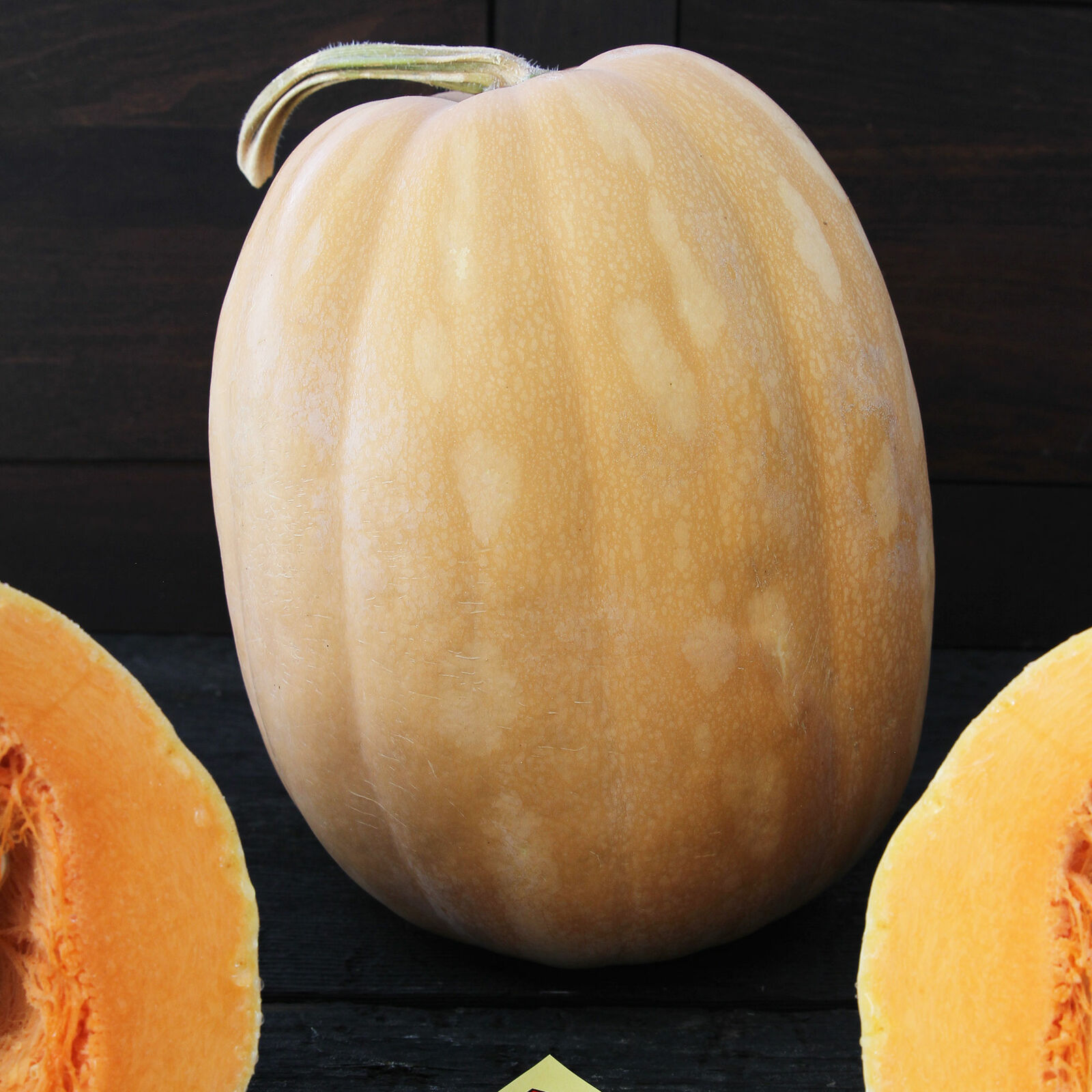 Primary image for SHIP FROM US 4 G ~44 SEEDS - ORGANIC DICKINSON PUMPKIN SEEDS - NON-GMO, TM11