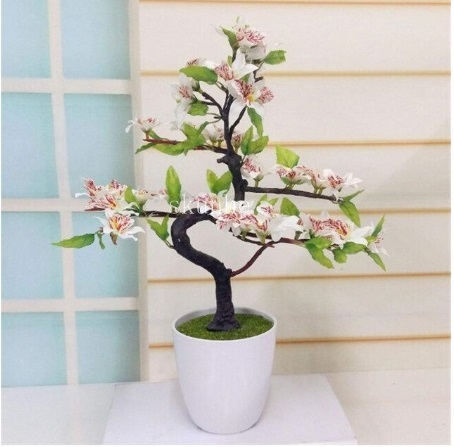 Bonsai Tree japanese sakura flower Cherry Blossoms 10 seeds