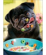 Avanti Press Dog Alphabet Cereal Funny / Humorous Pug Valentine Card - $5.28