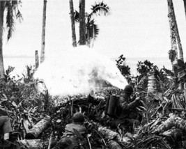 U.S. Army Flamethrowers during Battle of Munda Point 8x10 WWII Photo 399a - $8.56