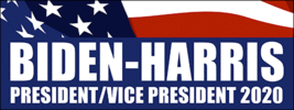 9&quot; BIDEN HARRIS 2020 PRESIDENT VICE PRESIDENT HELMET USA MADE STICKER DECAL - $16.14