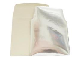 Cream Envelopes with Silver Inserts, 15 Count - $4.76