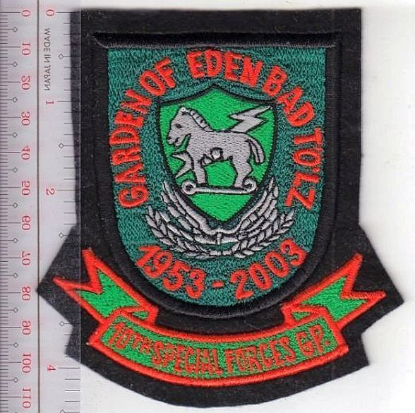 Green Beret US Army Germany 10th Special Forces Group Airborne Bad Tolz 