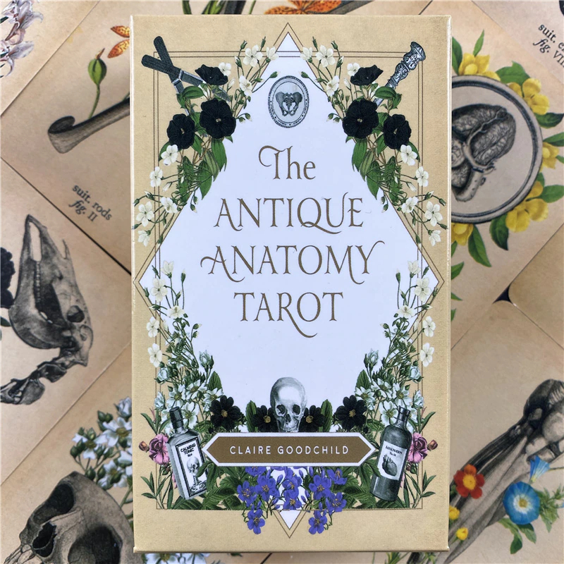 The Antique Anatomy Tarot: A 78 Cards Deck English Language Divination Oracle