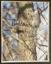 Photo Photography Print 8x10 PAIR OF CLIMBERS squirrel winter - $5.00