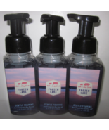 3 Bath &amp; Body Works Gentle Foaming Hand Soap Frozen Lake - $49.99