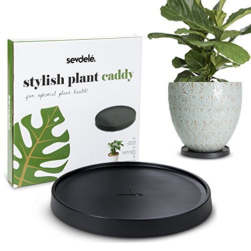 Designer Plant Saucer with Wheels - 9.8” Rolling Flower Pot Caddy with ...