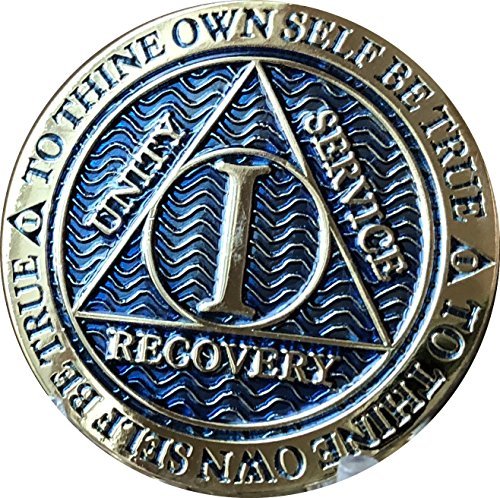 1 Year AA Medallion Dusty Blue Color Gold Plated Chip