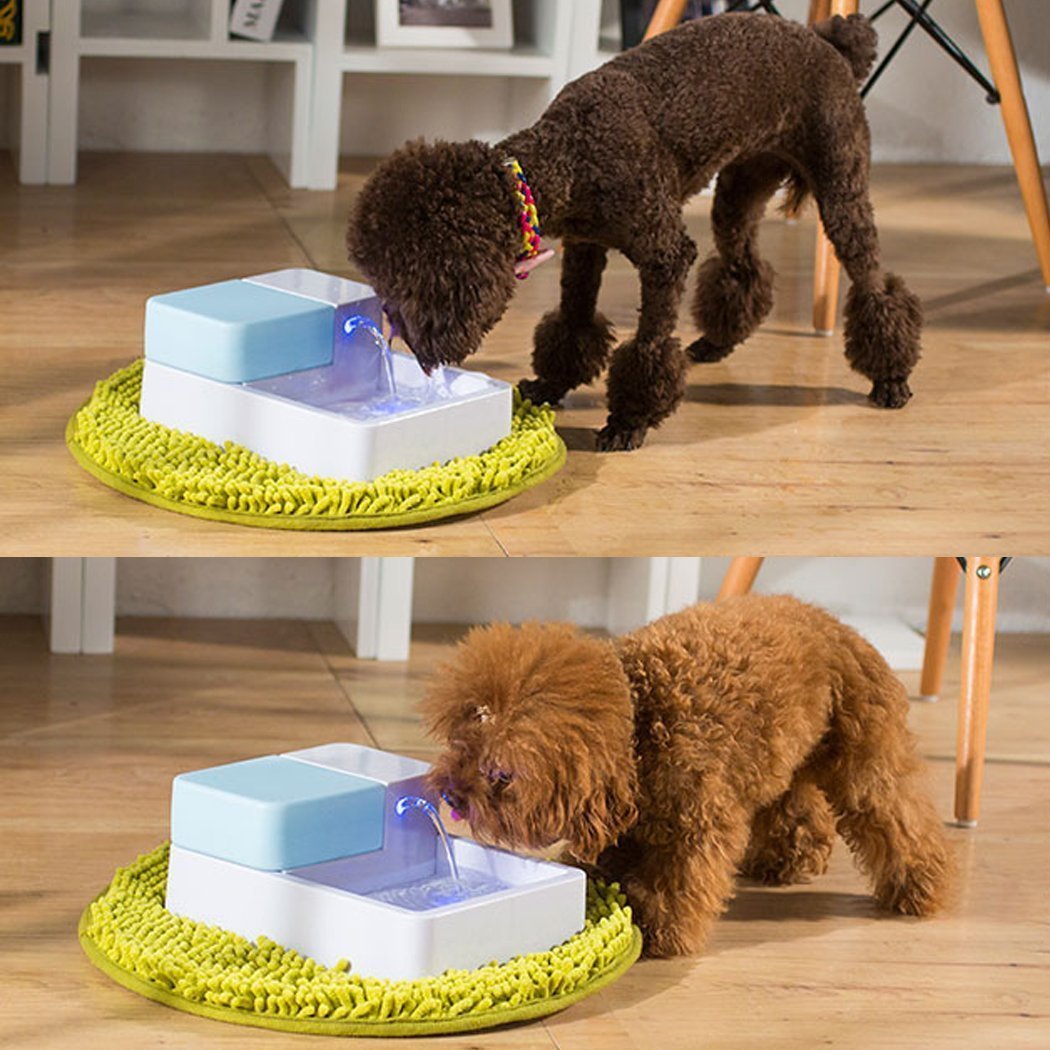 Automatic Dog Toy Dispenser Wow Blog