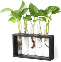 Wall Glass Wood Rack with 5 Test Tubes for Propagating Hydroponic Plants image 1
