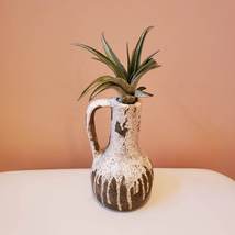Airplant Vase, Ceramic Vase with Live Air Plant, Tillandsia Decor Gift image 1