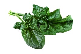 Spinach Bloomsdale Longstanding Non GMO Heirloom Vegetable 25 Seeds - $1.77