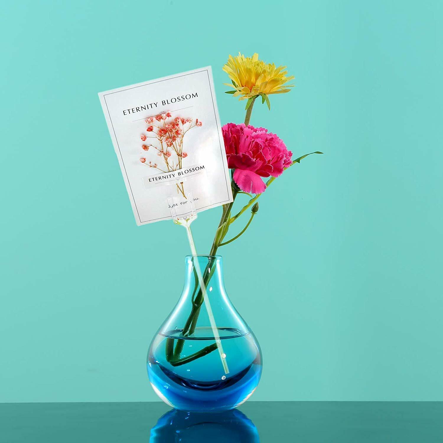 1000pcs Clear Plastic Floral Picks Card Holders Floral Arrangement